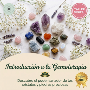 Taller Introducción a la_Gemoterapia – Ámate! Health & Wellness